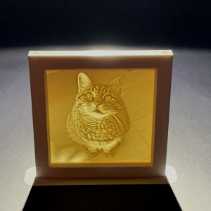 Felakasztható 3D kép